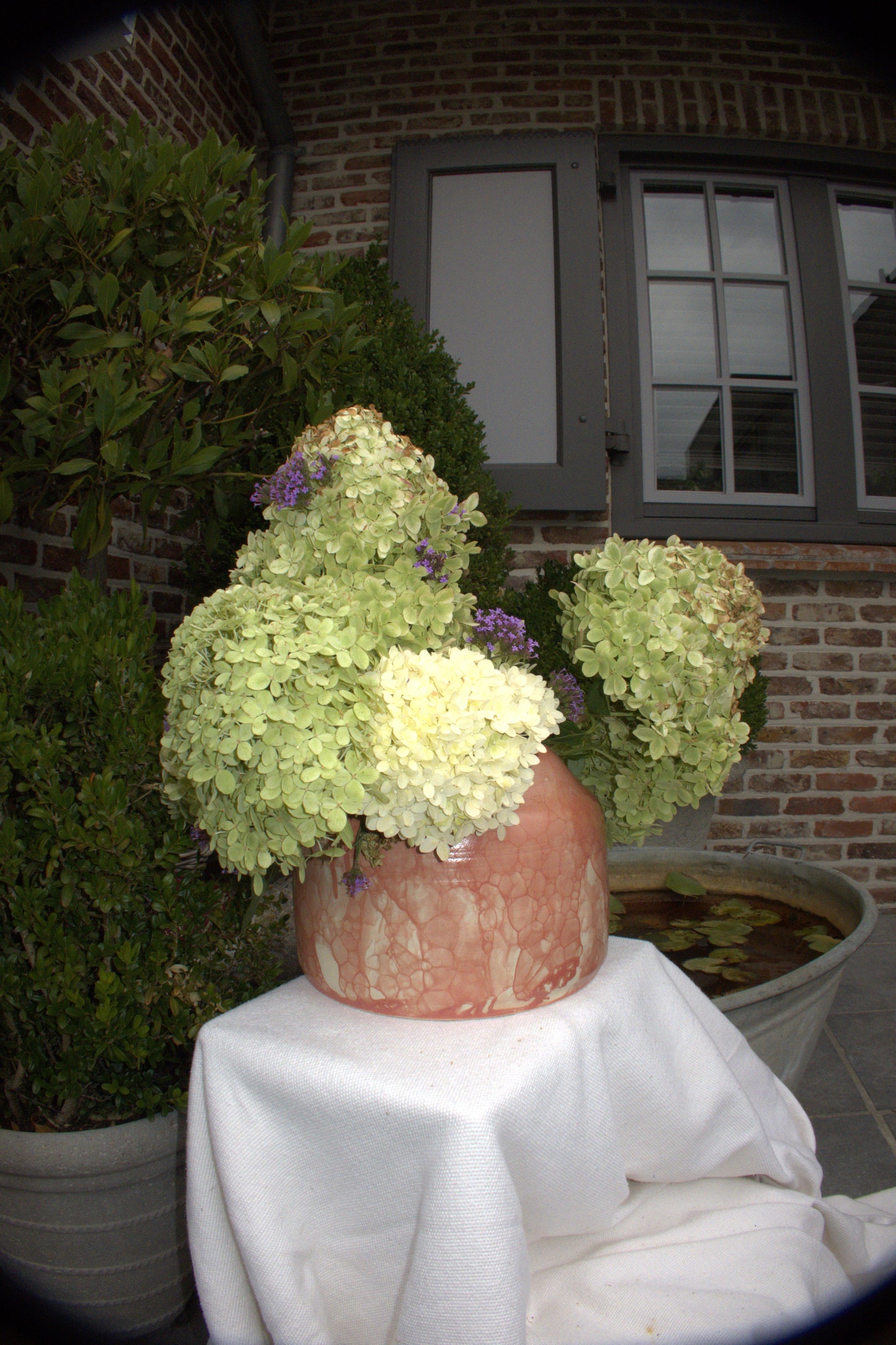Wavy Vase – Blush