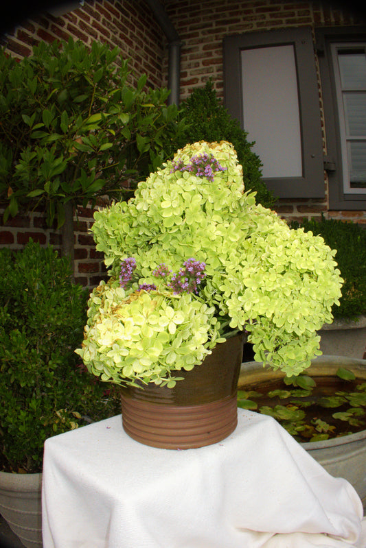 Ribbed Vase – Olive & Terracotta